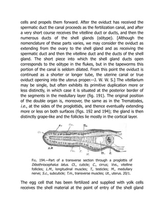 Deep Tissue Massage A Visual Guide To Techniques Rev Ed Art Riggs | PDF