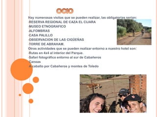 Hay numerosas visitas que se pueden realizar, las obligatorias serian:
•RESERVA REGIONAL DE CAZA EL CIJARA
•MUSEO ETNOGRAFICO
•ALFOMBRAS
•CASA PALILLO
•OBSERVACION DE LAS CIGÜEÑAS
•TORRE DE ABRAHAM.
Otras actividades que se pueden realizar entorno a nuestro hotel son:
•Rutas en 4x4 al interior del Parque.
•Safari fotográfico entorno al sur de Cabañeros
•Canoas
•A caballo por Cabañeros y montes de Toledo
 