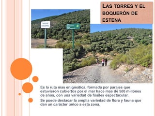LAS TORRES Y EL
                                   BOQUERÓN DE
                                   ESTENA




Es la ruta mas enigmática, formada por parajes que
estuvieron cubiertos por el mar hace mas de 500 millones
de años, con una variedad de fósiles espectacular.
Se puede destacar la amplia variedad de flora y fauna que
dan un carácter único a esta zona.
 