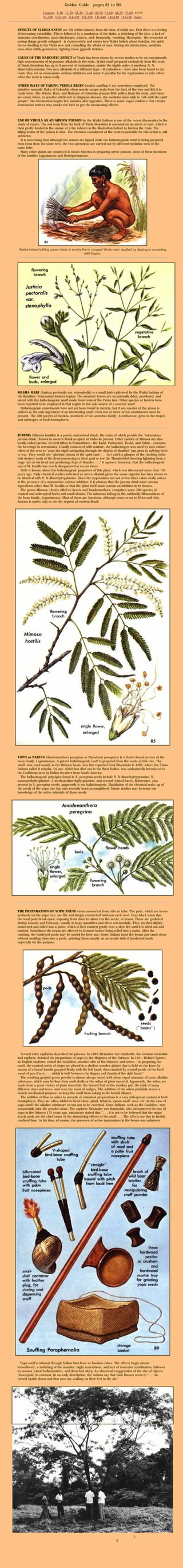 Plantas Alucinógenas. La Guia de Oro. Evan Schuld. | PDF