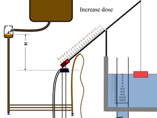 Increase dose
H
20
19
18
17
16
15
14
13
12
11
10
9
8
7
6
5
4
3
2
1
0
0
5
1
0
1
5
2
0
2
5
3
0
3
5
4
0
4
5
5
0
5
5
6
0
6
5
7
0
7
5
8
0
8
5
9
0
9
5
1
0
0
 
