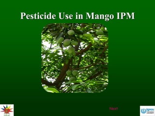 Pesticide Use in Mango IPM
Next
 