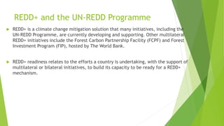 REDD+ and the UN-REDD Programme
 REDD+ is a climate change mitigation solution that many initiatives, including the
UN-REDD Programme, are currently developing and supporting. Other multilateral
REDD+ initiatives include the Forest Carbon Partnership Facility (FCPF) and Forest
Investment Program (FIP), hosted by The World Bank.
 REDD+ readiness relates to the efforts a country is undertaking, with the support of
multilateral or bilateral initiatives, to build its capacity to be ready for a REDD+
mechanism.
 