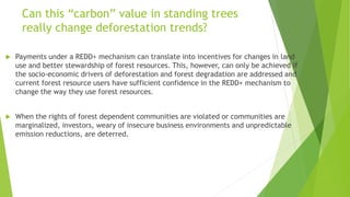 Can this “carbon” value in standing trees
really change deforestation trends?
 Payments under a REDD+ mechanism can translate into incentives for changes in land
use and better stewardship of forest resources. This, however, can only be achieved if
the socio-economic drivers of deforestation and forest degradation are addressed and
current forest resource users have sufficient confidence in the REDD+ mechanism to
change the way they use forest resources.
 When the rights of forest dependent communities are violated or communities are
marginalized, investors, weary of insecure business environments and unpredictable
emission reductions, are deterred.
 