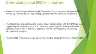 Other Multilateral REDD+ Initiatives
 Forest Carbon Partnership Facility (FCPF) and the Forest Investment Program (FIP),
hosted by The World Bank. Key strategic partners for the UN-REDD Programme.
 The Programme also continues to explore closer collaboration with the UNFCCC such as
supporting the implementation of its decisions, providing information and lessons
learned, preparation of technical papers as well as working jointly on capacity
development projects.
 The UN-REDD Programme is also partnering with the Global Environment Facility (GEF)
 