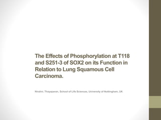 The Effects of Phosphorylation at T118
and S251-3 of SOX2 on its Function in
Relation to Lung Squamous Cell
Carcinoma.
Niralini. Thayaparan, School of Life Sciences, University of Nottingham, UK
 