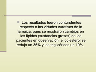  Los resultados fueron contundentes

respecto a las virtudes curativas de la
jamaica, pues se mostraron cambios en
los lípidos (sustancias grasas) de los
pacientes en observación: el colesterol se
redujo un 35% y los triglicéridos un 19%.

 