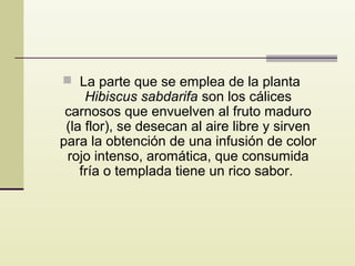  La parte que se emplea de la planta

Hibiscus sabdarifa son los cálices
carnosos que envuelven al fruto maduro
(la flor), se desecan al aire libre y sirven
para la obtención de una infusión de color
rojo intenso, aromática, que consumida
fría o templada tiene un rico sabor.

 