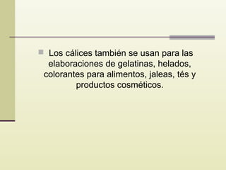 Los cálices también se usan para las

elaboraciones de gelatinas, helados,
colorantes para alimentos, jaleas, tés y
productos cosméticos.

 