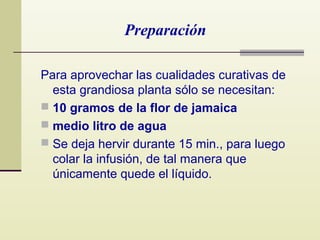 Preparación
Para aprovechar las cualidades curativas de
esta grandiosa planta sólo se necesitan:
 10 gramos de la flor de jamaica
 medio litro de agua
 Se deja hervir durante 15 min., para luego
colar la infusión, de tal manera que
únicamente quede el líquido.

 