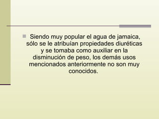  Siendo muy popular el agua de jamaica,

sólo se le atribuían propiedades diuréticas
y se tomaba como auxiliar en la
disminución de peso, los demás usos
mencionados anteriormente no son muy
conocidos.

 