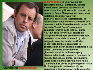 EL ESPAI BARÇA es un proyecto del presidente del F.C. Barcelona, Sandro Rosell, quien propone reurbanizar el entorno del Camp Nou con la creación de un nuevo Palau Blaugrana, un hotel, unas instalaciones deportivas y un auditorio, entre otras instalaciones, se reformarían 40.000 metros cuadrados con un coste total de 150 millones de euros. El proyecto 'Espai Barça' supone una completa reforma de la 'isla del Camp Nou', En esos terrenos, el equipo de trabajo de Rosell que pretende crear «un nuevo espacio, abierto al socio y más integrado en el barrio de Les Corts».El proyecto también contempla la construcción de un espacio destinado a las peñas, un centro deportivo con gimnasio, servicio de fisioterapia y piscina, además de un nuevo concepto de museo, dedicado al Barça, que incluiría varias exposiciones sobre la historia de Catalunya. Las obras se prolongarían hasta 2016 y el plan de reurbanización se sometería, a la aprobación de la asamblea general de socios.El presidente SANDRO ROSELL