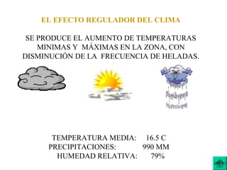 EL EFECTO REGULADOR DEL CLIMA
SE PRODUCE EL AUMENTO DE TEMPERATURAS
MINIMAS Y MÁXIMAS EN LA ZONA, CON
DISMINUCIÓN DE LA FRECUENCIA DE HELADAS.
TEMPERATURA MEDIA: 16.5 C
PRECIPITACIONES: 990 MM
HUMEDAD RELATIVA: 79%
INICIO
 