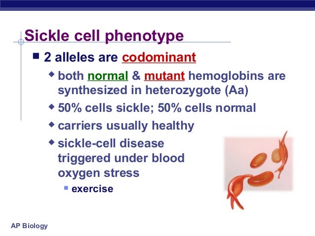 59 ch14humangenetics2008