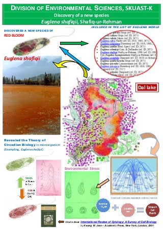 DIVISION OF ENVIRONMENTAL SCIENCES, SKUAST-K
Discovery of a new species
Euglena shafiqii, Shafiq-ur-Rehman
INCLUDED IN THE LIST OF EUGLENA WORLD
DISCOVERED A NEW SPECIES OF
RED-BLOOM
Euglena shafiqii
Revealed the Theory of
Circadian Biology in microorganism
(Exampling, Euglena shafiqii)
Environmental Stress
Cited in Book: International Review of Cytology: A Survey of Cell Biology
by Kwang W. Jeon – Academic Press, New York, London, 2001
Dal lake
 