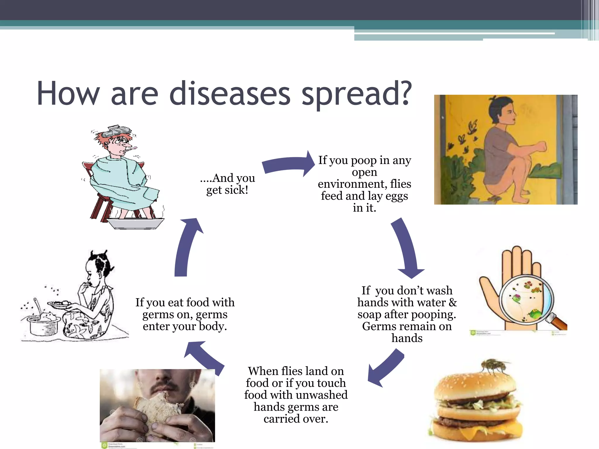 How are diseases spread?
If you poop in any
open
environment, flies
feed and lay eggs
in it.
If you don’t wash
hands with water &
soap after pooping.
Germs remain on
hands
When flies land on
food or if you touch
food with unwashed
hands germs are
carried over.
If you eat food with
germs on, germs
enter your body.
….And you
get sick!
 