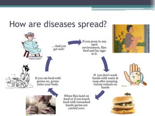 How are diseases spread?
If you poop in any
open
environment, flies
feed and lay eggs
in it.
If you don’t wash
hands with water &
soap after pooping.
Germs remain on
hands
When flies land on
food or if you touch
food with unwashed
hands germs are
carried over.
If you eat food with
germs on, germs
enter your body.
….And you
get sick!
 