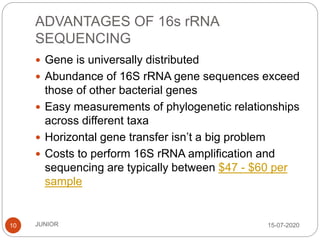 ADVANTAGES OF 16s rRNA
SEQUENCING
15-07-2020JUNIOR10
 Gene is universally distributed
 Abundance of 16S rRNA gene sequences exceed
those of other bacterial genes
 Easy measurements of phylogenetic relationships
across different taxa
 Horizontal gene transfer isn’t a big problem
 Costs to perform 16S rRNA amplification and
sequencing are typically between $47 - $60 per
sample
 