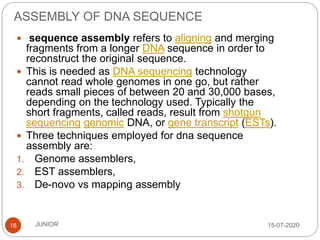 ASSEMBLY OF DNA SEQUENCE
15-07-2020JUNIOR16
 sequence assembly refers to aligning and merging
fragments from a longer DNA sequence in order to
reconstruct the original sequence.
 This is needed as DNA sequencing technology
cannot read whole genomes in one go, but rather
reads small pieces of between 20 and 30,000 bases,
depending on the technology used. Typically the
short fragments, called reads, result from shotgun
sequencing genomic DNA, or gene transcript (ESTs).
 Three techniques employed for dna sequence
assembly are:
1. Genome assemblers,
2. EST assemblers,
3. De-novo vs mapping assembly
 