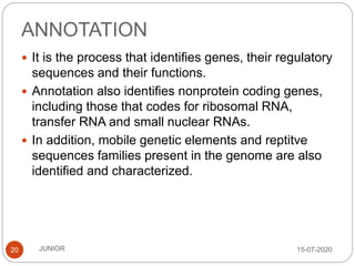 ANNOTATION
15-07-2020JUNIOR20
 It is the process that identifies genes, their regulatory
sequences and their functions.
 Annotation also identifies nonprotein coding genes,
including those that codes for ribosomal RNA,
transfer RNA and small nuclear RNAs.
 In addition, mobile genetic elements and reptitve
sequences families present in the genome are also
identified and characterized.
 