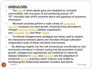 15-07-2020JUNIOR29
 AGRICULTURE:
 The soils in which plants grow are inhabited by microbial
communities, with one gram of soil containing around 109-
1010 microbial cells which comprise about one gigabase of sequence
information.
 Microbial consortia perform a wide variety of ecosystem
services necessary for plant growth, including fixing atmospheric
nitrogen, nutrient cycling, disease suppression,
and sequester iron and other metals.
 Functional metagenomics strategies are being used to explore
the interactions between plants and microbes through cultivation-
independent study of these microbial communities.
 By allowing insights into the role of previously uncultivated or rare
community members in nutrient cycling and the promotion of plant
growth, metagenomic approaches can contribute to improved
disease detection in crops and livestock and the adaptation of
enhanced farming practices which improve crop health by
harnessing the relationship between microbes and plants.
 