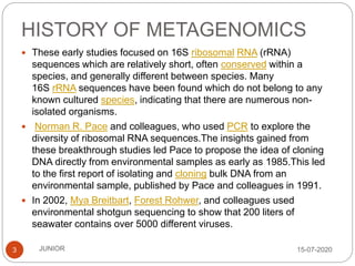 HISTORY OF METAGENOMICS
15-07-2020JUNIOR3
 These early studies focused on 16S ribosomal RNA (rRNA)
sequences which are relatively short, often conserved within a
species, and generally different between species. Many
16S rRNA sequences have been found which do not belong to any
known cultured species, indicating that there are numerous non-
isolated organisms.
 Norman R. Pace and colleagues, who used PCR to explore the
diversity of ribosomal RNA sequences.The insights gained from
these breakthrough studies led Pace to propose the idea of cloning
DNA directly from environmental samples as early as 1985.This led
to the first report of isolating and cloning bulk DNA from an
environmental sample, published by Pace and colleagues in 1991.
 In 2002, Mya Breitbart, Forest Rohwer, and colleagues used
environmental shotgun sequencing to show that 200 liters of
seawater contains over 5000 different viruses.
 