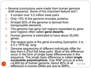 15-07-2020JUNIOR37
 Several conclusions were made from human genome
draft sequence. Some of the important feature are?;
1. It contain over 3.2 million base pairs.
2. Only ~5% of the genome encodes proteins.
3. At least 50% of the genome is derived from
transposable elements.
4. The genome has gene rich regions separated by gene
poor regions often called gene deserts.
5. Human genome is estimated to have about 35,000
genes.
6. The largest gene is the gene encoding dystrophin; it is
2.5 x 10^6 bp long.
7. Genome sequencing of different individuals differ for
less than 0.2%of the base pairs. Most of the difference
occur in the form of single base differenences in the
sequence. The single base difference is called single
nucleotide polymorphism. One SNP occurs at every
~1,000 bp of human genome. About 85% of all
difference in human DNAs are due to SNPs.
 