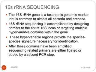 16s rRNA SEQUENCING
15-07-2020JUNIOR8
 The 16S rRNA gene is a taxonomic genomic marker
that is common to almost all bacteria and archaea.
 16S rRNA sequencing is accomplished by designing
primers to the entire 16S locus or targeting multiple
hypervariable domains within the gene.
 These hypervariable regions provide the species-
species signature necessary for identification.
 After these domains have been amplified,
sequencing related primers are either ligated or
added by a second PCR step.
 