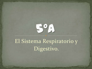 El Sistema Respiratorio y
Digestivo.
 