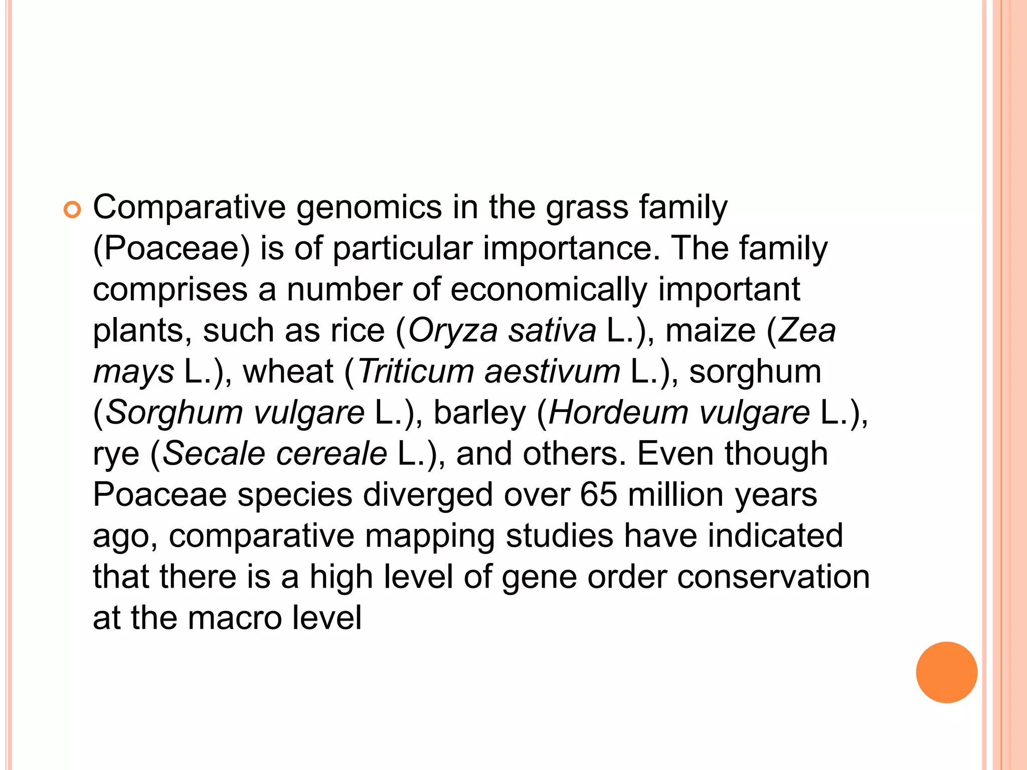  Comparative genomics in the grass family
(Poaceae) is of particular importance. The family
comprises a number of economically important
plants, such as rice (Oryza sativa L.), maize (Zea
mays L.), wheat (Triticum aestivum L.), sorghum
(Sorghum vulgare L.), barley (Hordeum vulgare L.),
rye (Secale cereale L.), and others. Even though
Poaceae species diverged over 65 million years
ago, comparative mapping studies have indicated
that there is a high level of gene order conservation
at the macro level
 
