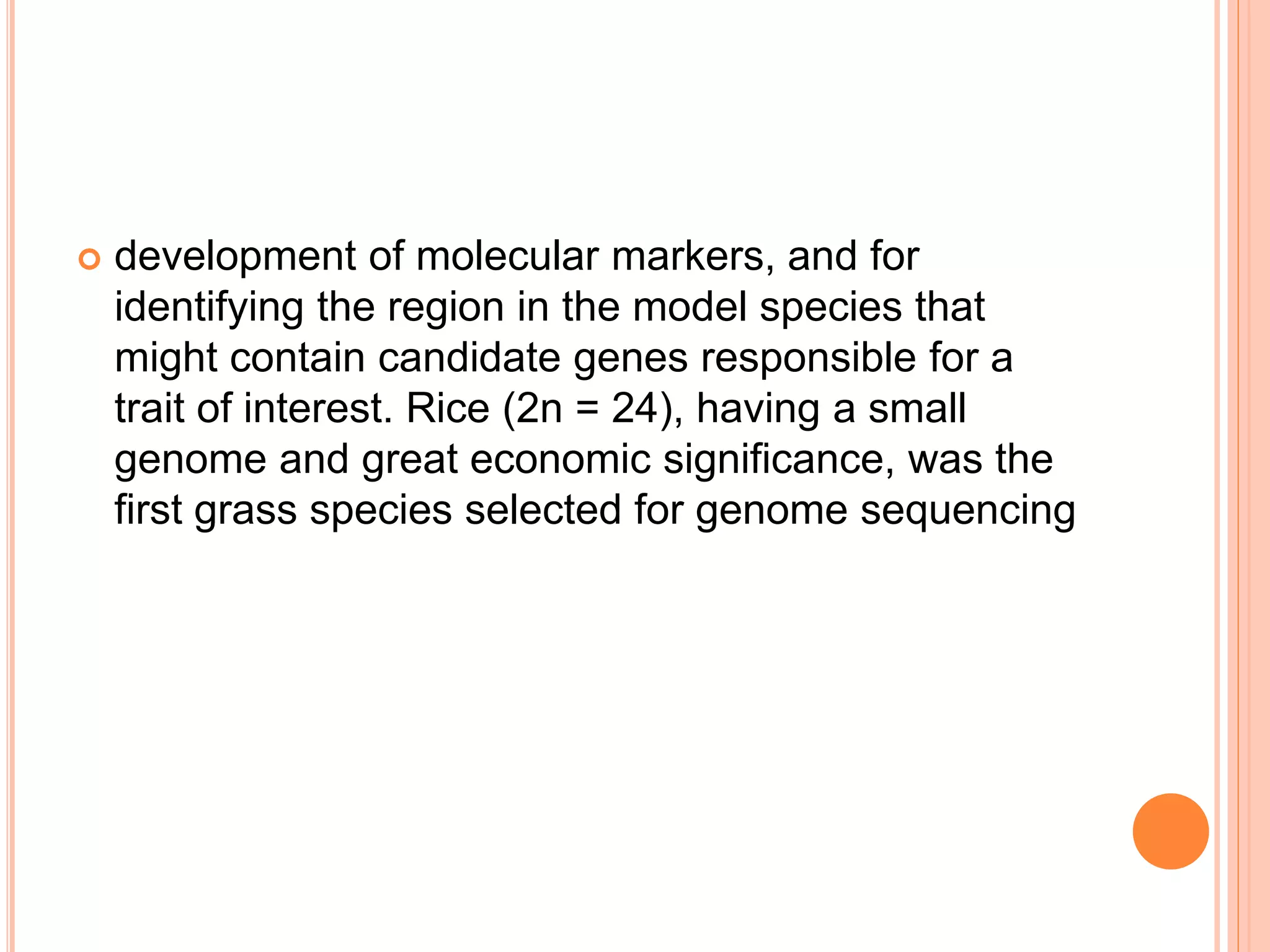  development of molecular markers, and for
identifying the region in the model species that
might contain candidate genes responsible for a
trait of interest. Rice (2n = 24), having a small
genome and great economic significance, was the
first grass species selected for genome sequencing
 