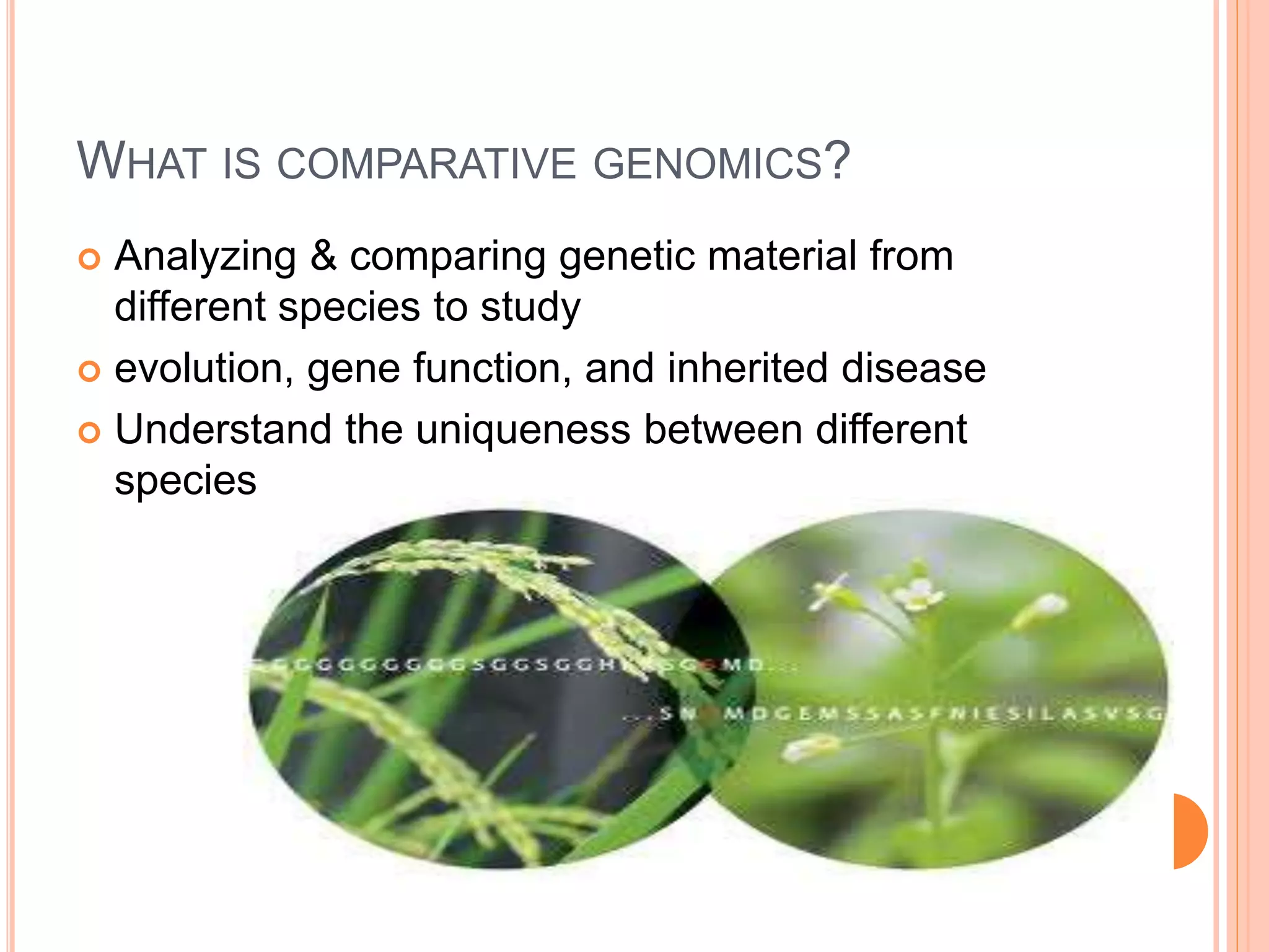 WHAT IS COMPARATIVE GENOMICS?
 Analyzing & comparing genetic material from
different species to study
 evolution, gene function, and inherited disease
 Understand the uniqueness between different
species
 