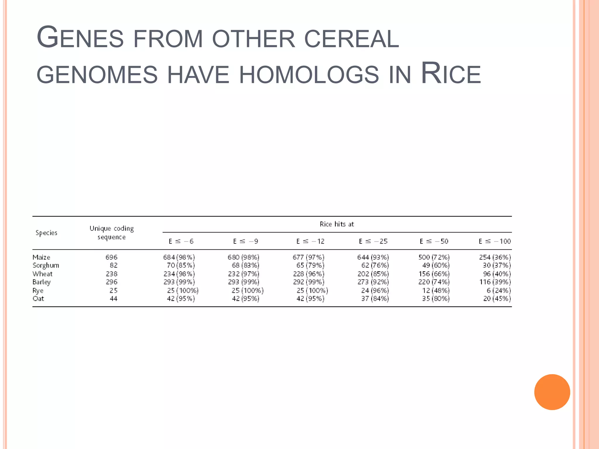 GENES FROM OTHER CEREAL
GENOMES HAVE HOMOLOGS IN RICE
 