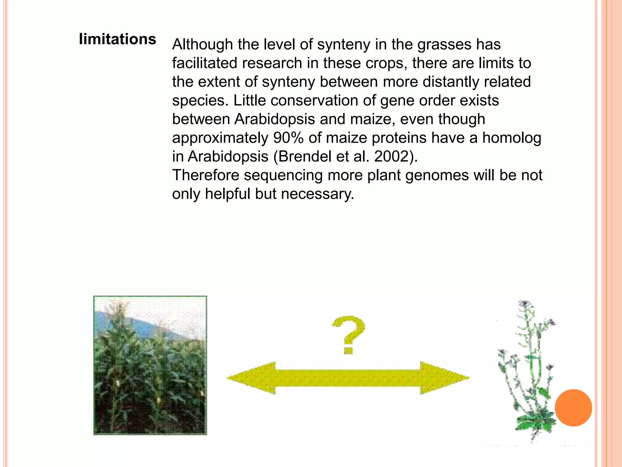limitations Although the level of synteny in the grasses has
facilitated research in these crops, there are limits to
the extent of synteny between more distantly related
species. Little conservation of gene order exists
between Arabidopsis and maize, even though
approximately 90% of maize proteins have a homolog
in Arabidopsis (Brendel et al. 2002).
Therefore sequencing more plant genomes will be not
only helpful but necessary.
 