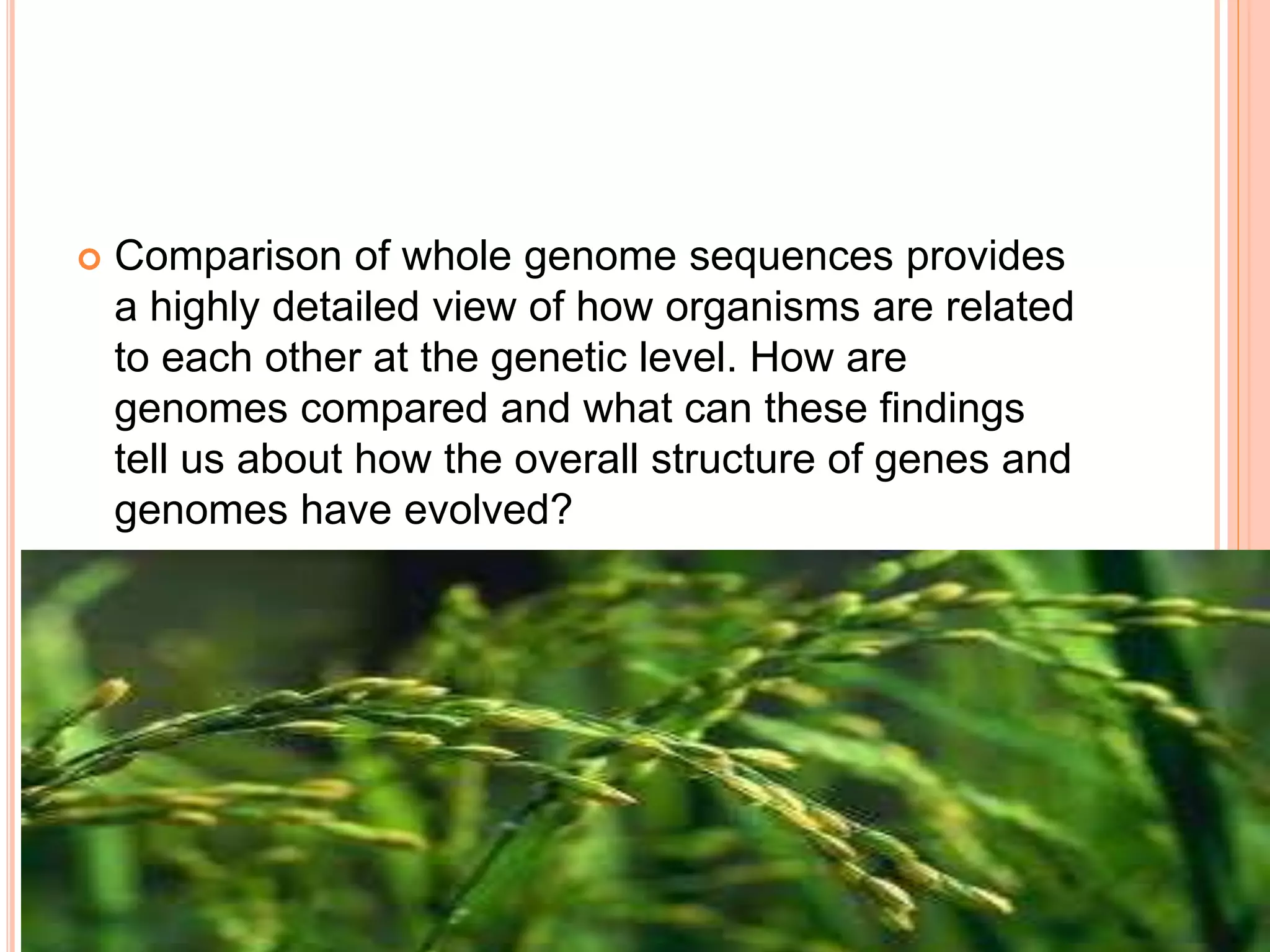 Comparison of whole genome sequences provides
a highly detailed view of how organisms are related
to each other at the genetic level. How are
genomes compared and what can these findings
tell us about how the overall structure of genes and
genomes have evolved?
 