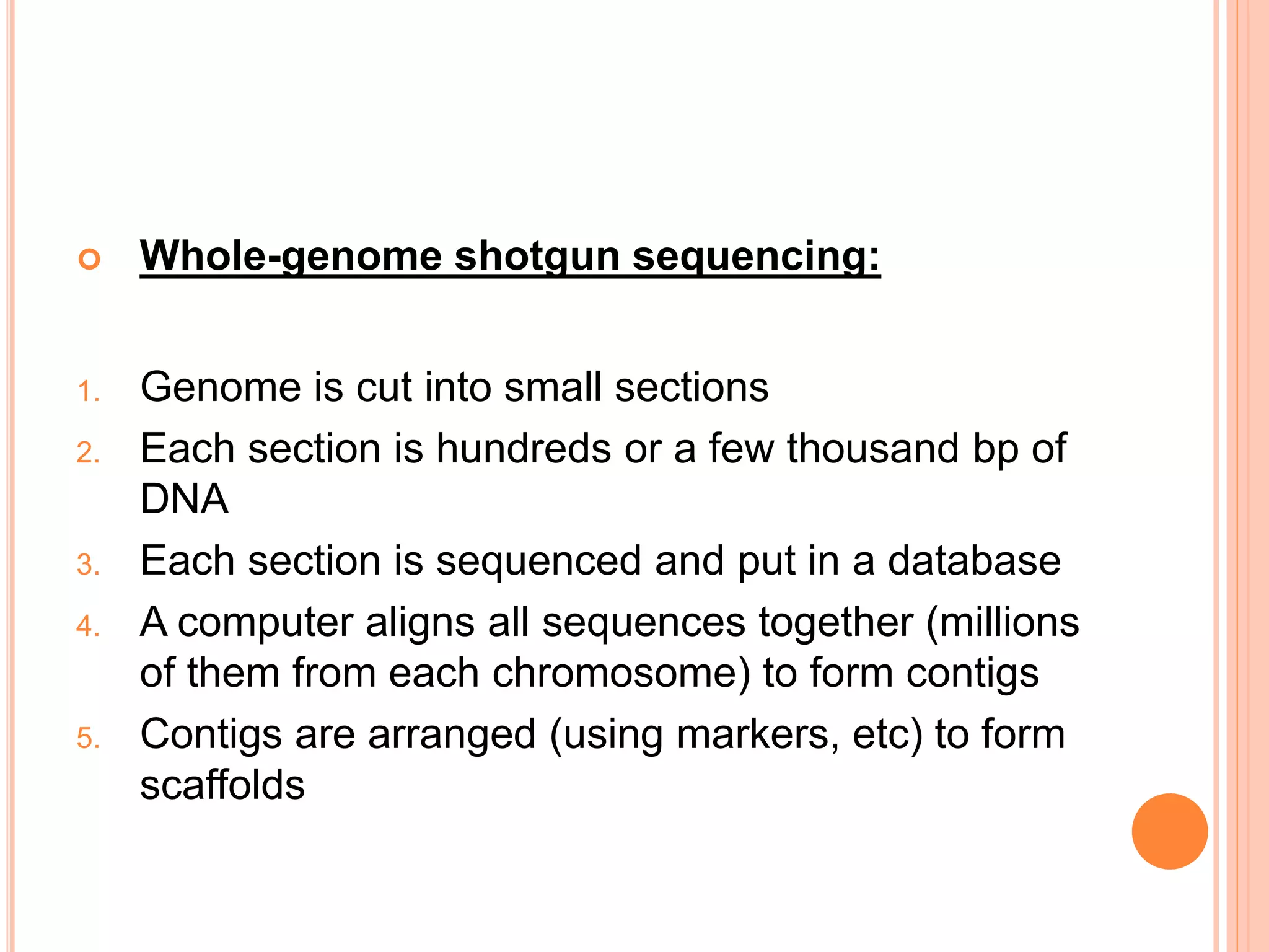  Whole-genome shotgun sequencing:
1. Genome is cut into small sections
2. Each section is hundreds or a few thousand bp of
DNA
3. Each section is sequenced and put in a database
4. A computer aligns all sequences together (millions
of them from each chromosome) to form contigs
5. Contigs are arranged (using markers, etc) to form
scaffolds
 