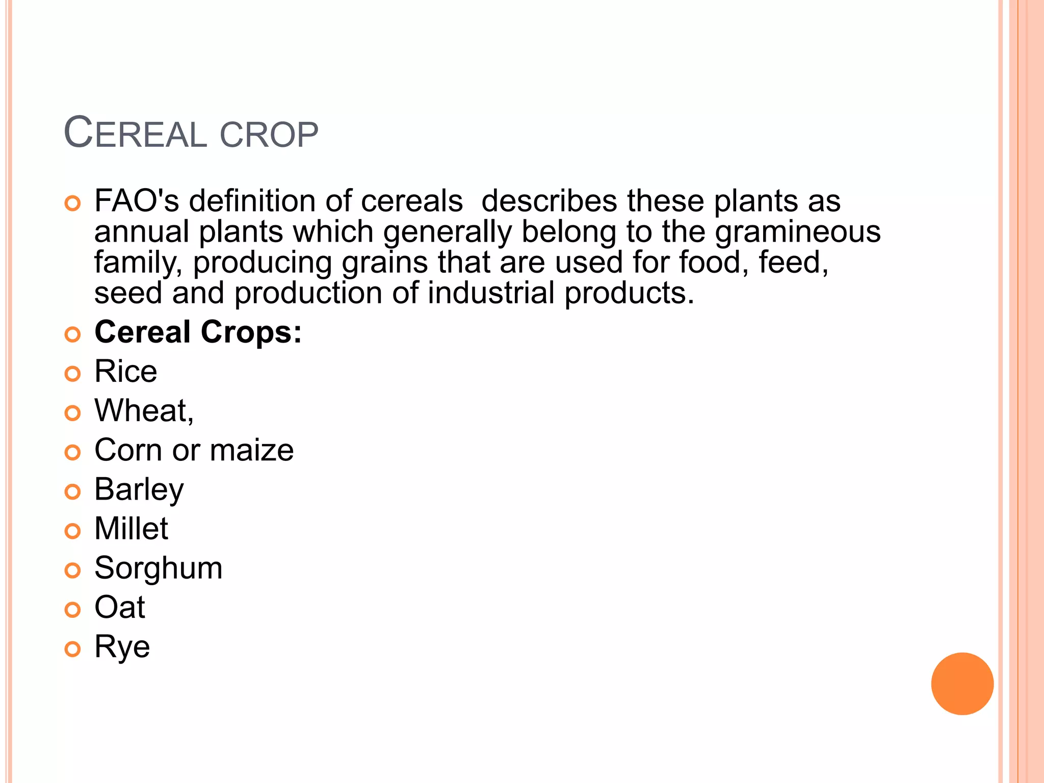 CEREAL CROP
 FAO's definition of cereals describes these plants as
annual plants which generally belong to the gramineous
family, producing grains that are used for food, feed,
seed and production of industrial products.
 Cereal Crops:
 Rice
 Wheat,
 Corn or maize
 Barley
 Millet
 Sorghum
 Oat
 Rye
 