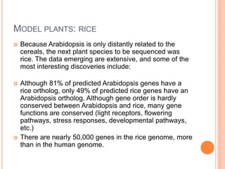What is comparative genomics | PPTX