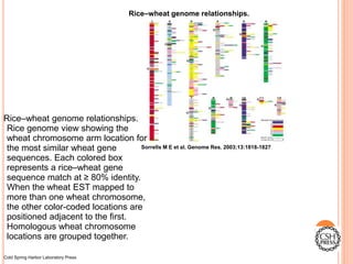 What is comparative genomics | PPTX