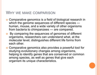 Comparatuive Genomics What is comparative genomics | PPTX