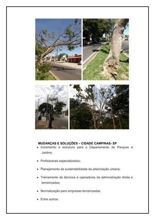 MUDANÇAS E SOLUÇÕES – CIDADE CAMPINAS- SP
Incremento e estrutura para o Departamento de Parques e
Jardins;
Profissionais especializados;
Planejamento da sustentabilidade da arborização urbana;
Treinamento de técnicos e operadores da administração direta e
terceirizadas;
Normatização para empresas terceirizadas;
Entre outros;
 