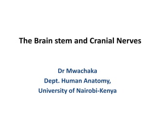 The Brain stem and Cranial Nerves
Dr Mwachaka
Dept. Human Anatomy,
University of Nairobi-Kenya
 