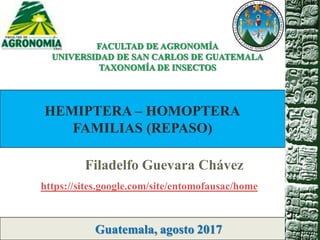 Filadelfo Guevara Chávez
Guatemala, agosto 2017
HEMIPTERA – HOMOPTERA
FAMILIAS (REPASO)
https://sites.google.com/site/entomofausac/home
 