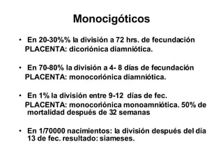 Monocigóticos En 20-30%% la división a 72 hrs. de fecundación PLACENTA: dicoriónica diamniótica. En 70-80% la división a 4- 8 días de fecundación PLACENTA: monocoriónica diamniótica. En 1% la división entre 9-12  días de fec. PLACENTA: monocoriónica monoamniótica. 50% de mortalidad después de 32 semanas En 1/70000 nacimientos: la división después del día 13 de fec. resultado: siameses. 