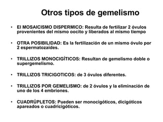 Otros tipos de gemelismo El MOSAICISMO DISPERMICO: Resulta de fertilizar 2 óvulos provenientes del mismo oocito y liberados al mismo tiempo  OTRA POSIBILIDAD: Es la fertilización de un mismo óvulo por 2 espermatozaides. TRILLIZOS MONOCIGÍTICOS: Resultan de gemelismo doble o supergemelismo. TRILLIZOS TRICIGOTICOS: de 3 óvulos diferentes. TRILLIZOS POR GEMELISMO: de 2 óvulos y la eliminación de uno de los 4 embriones. CUADRÚPLETOS: Pueden ser monocigóticos, dicigóticos apareados o cuadricigóticos. 
