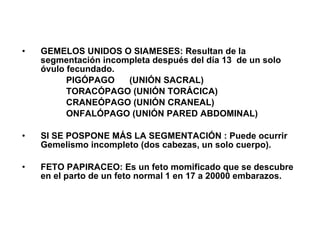 GEMELOS UNIDOS O SIAMESES: Resultan de la segmentación incompleta después del día 13  de un solo óvulo fecundado. PIGÓPAGO  (UNIÓN SACRAL) TORACÓPAGO (UNIÓN TORÁCICA) CRANEÓPAGO (UNIÓN CRANEAL) ONFALÓPAGO (UNIÓN PARED ABDOMINAL) SI SE POSPONE MÁS LA SEGMENTACIÓN : Puede ocurrir Gemelismo incompleto (dos cabezas, un solo cuerpo). FETO PAPIRACEO: Es un feto momificado que se descubre en el parto de un feto normal 1 en 17 a 20000 embarazos.  