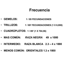 Frecuencia GEMELOS:  1 / 89 FECUNDACIONES  TRILLIZOS:  1 / 89 2  FECUNDACIONES (1 X 8,000) CUADRÚPLETOS:   1 / 89 3  (1 X 704,96) MAS COMÚN:  RAZA NEGRA   49  x 1000 INTERMEDIO:  RAZA BLANCA  2.3 – 4 x 1000 MENOS COMÚN:  ORIENTALES 1.3 x 1000 