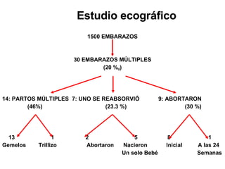Estudio ecográfico 1500 EMBARAZOS 30 EMBARAZOS MÚLTIPLES (20 % 0 ) 14: PARTOS MÚLTIPLES  7: UNO SE REABSORVIÓ  9: ABORTARON (46%)  (23.3 %)  (30 %) 13  1  2  5  8  1 Gemelos  Trillizo  Abortaron  Nacieron  Inicial  A las 24 Un solo Bebé  Semanas 