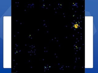 Past OpportunitiesSlide Title