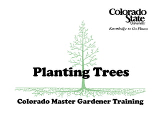 Colorado Master Gardener Training Planting Trees 